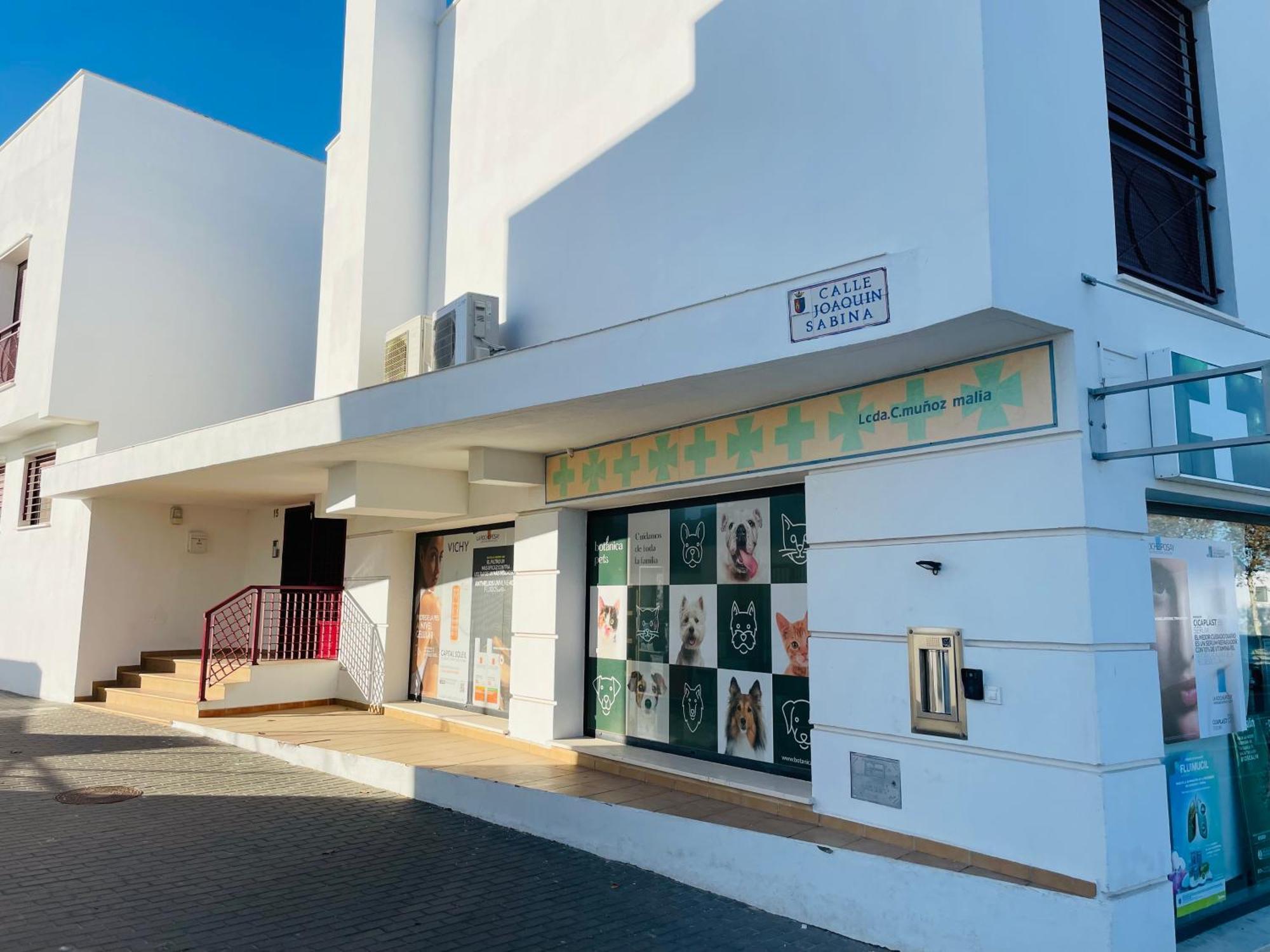 Atico Premium Conil Con 2 Terrazas, Parking, Piscina, Aire Ac Y Wifi -Solo Familias Y Parejas- Apartman Conil de la Frontera Kültér fotó